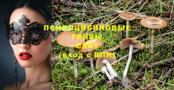 твердый Саяногорск
