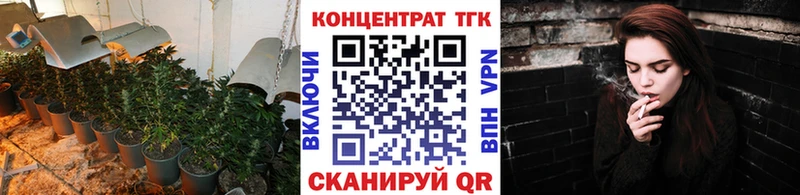 Купить где  Шацк  Дистиллят ТГК THC oil 