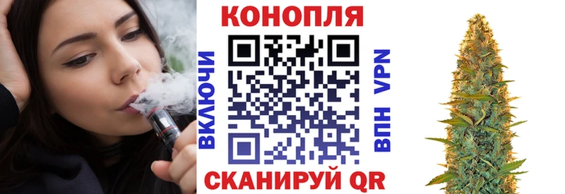 Канабис планчик  Купить  Шацк 